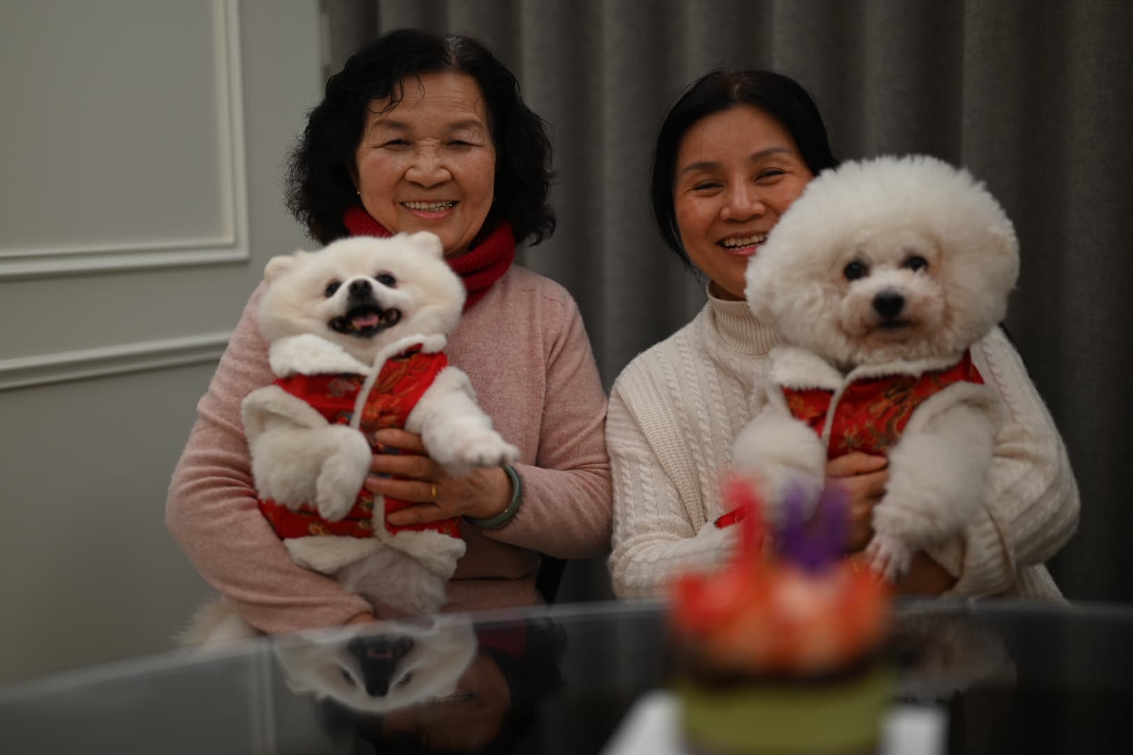 Feizai's 10th Birthday Sunday