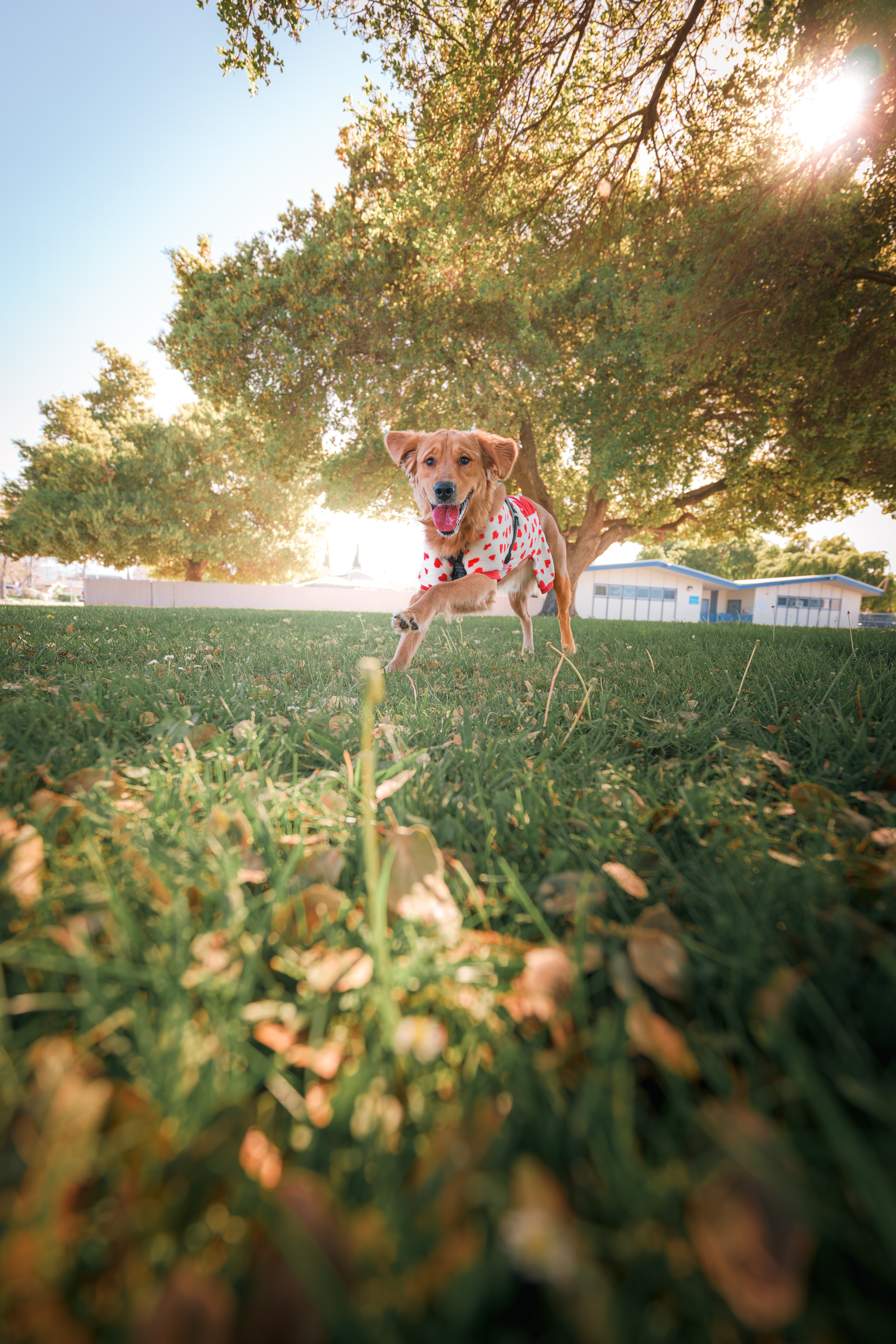 The Moment Rushing Towards Me