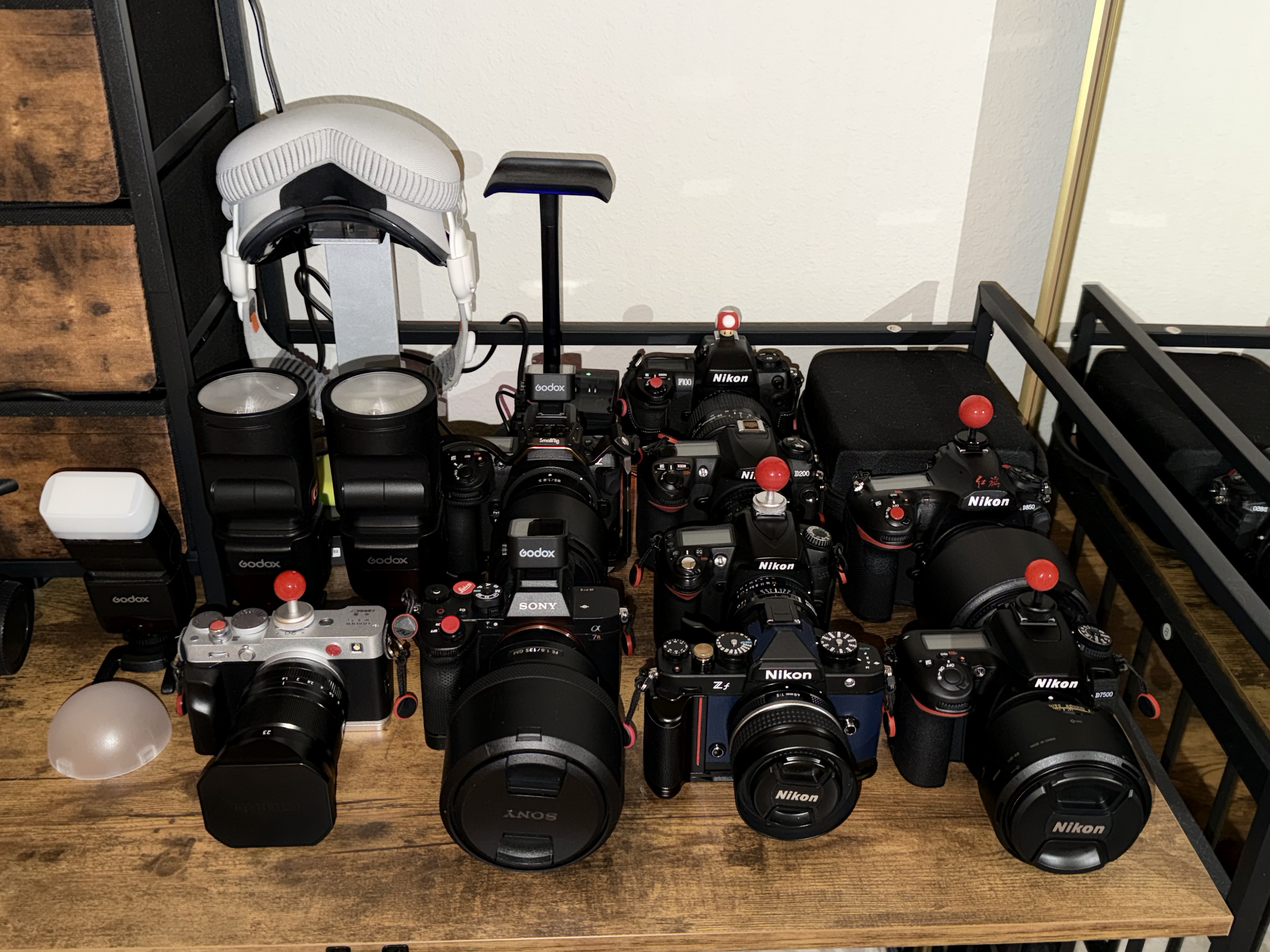 私と Nikon の 2025年