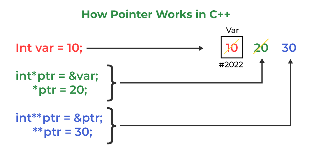 C++ Programming #3 Pointers and Array
