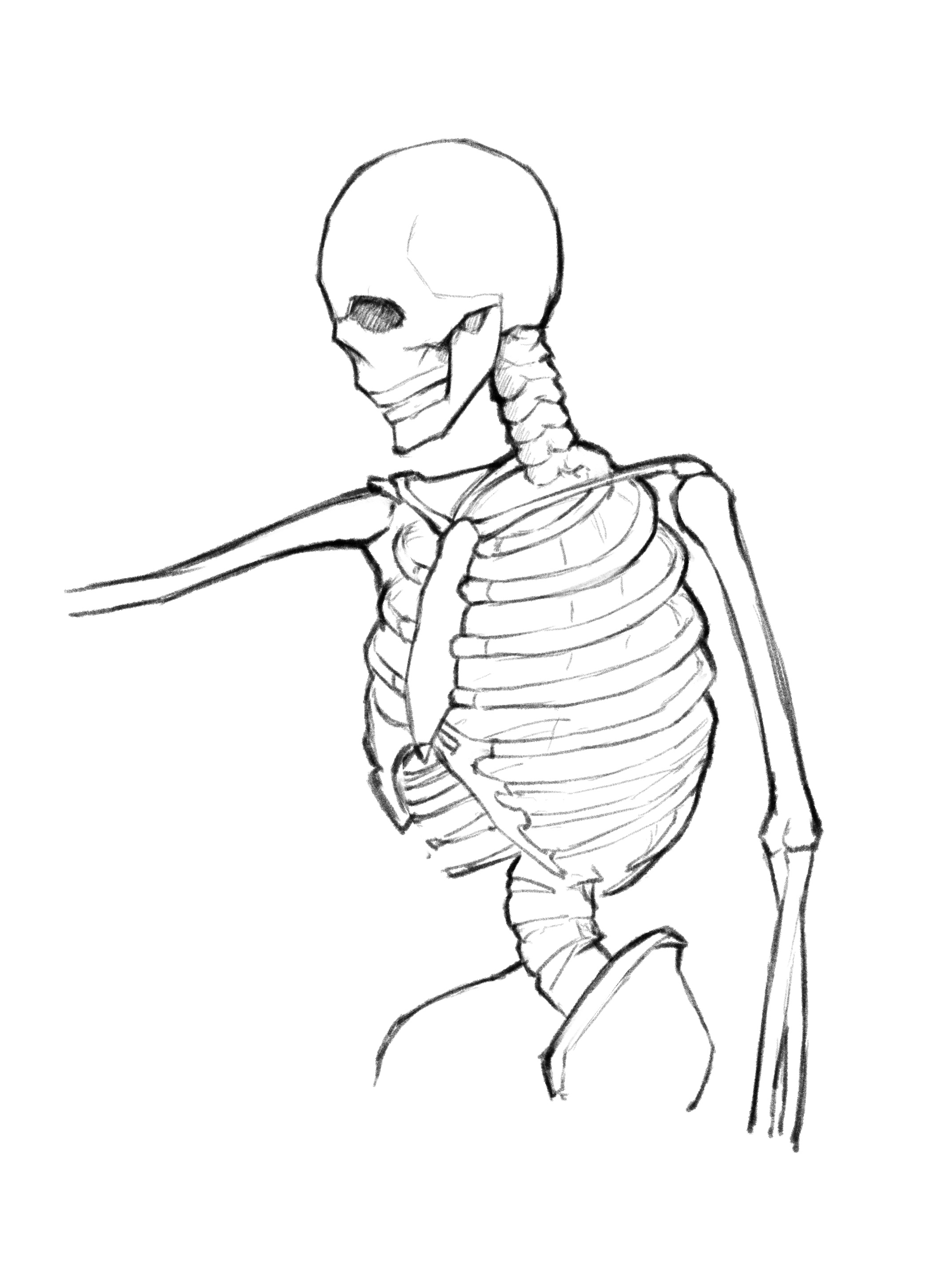 Torso #2 Front Layers