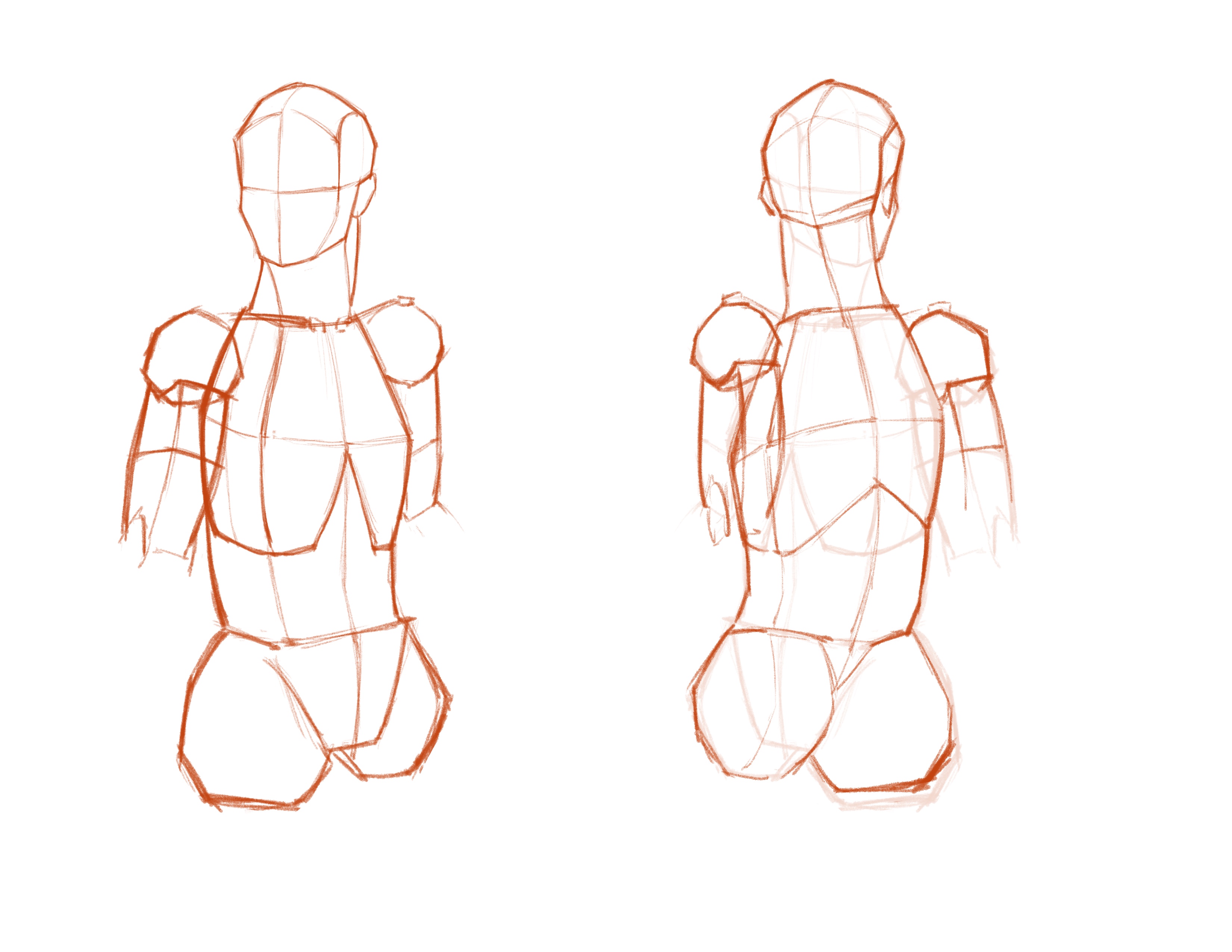 Artistic Anatomy #1 Torso Overview