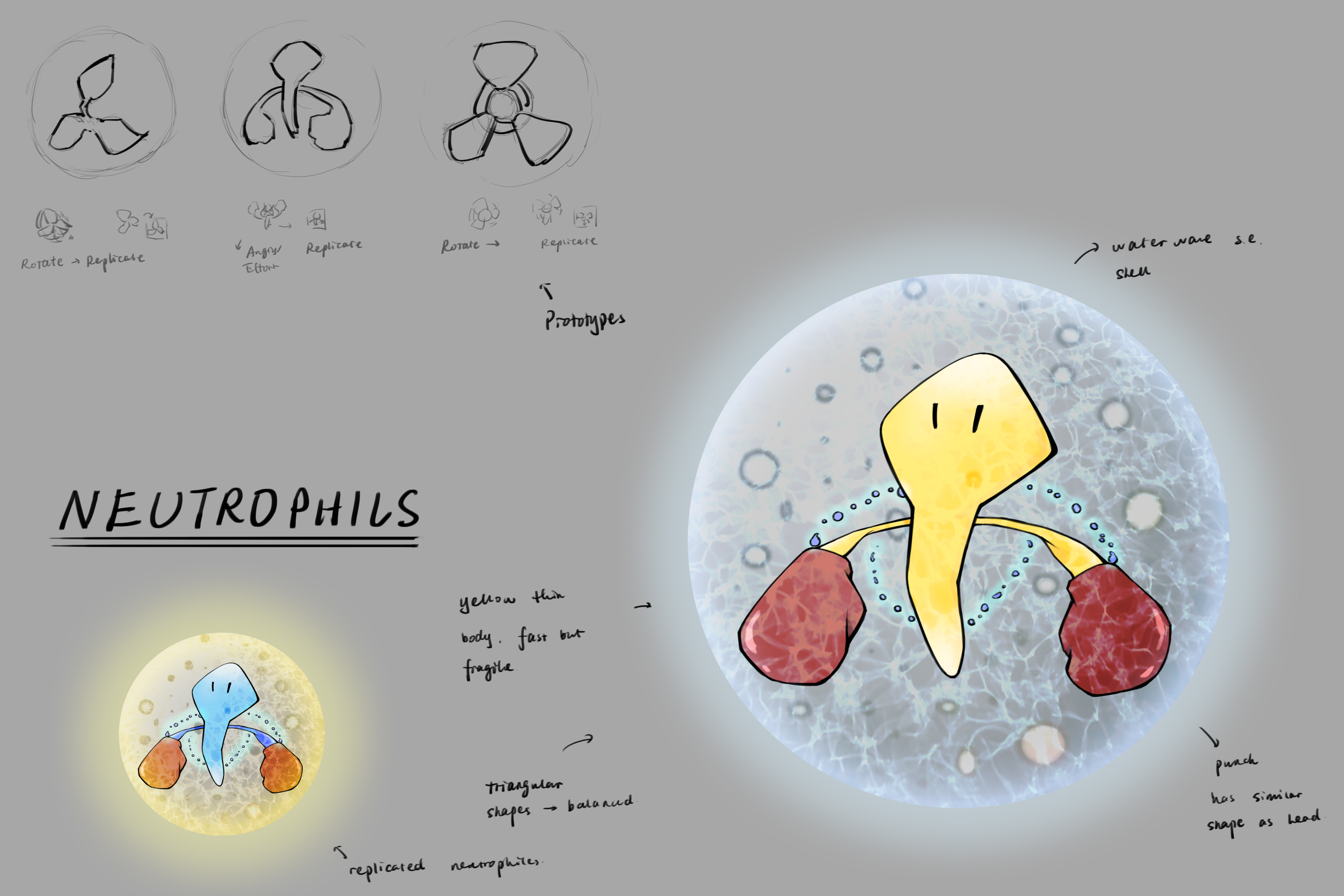 中性粒细胞 副本